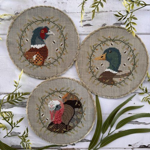 Colorful burds trio