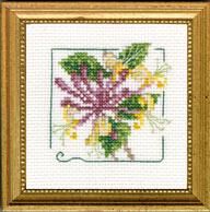 Honeysuckle