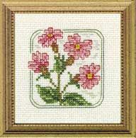 Red Campion