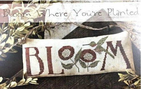 Bloom