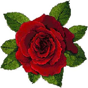 A Bed of Roses
