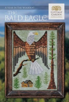 Bald Eagle