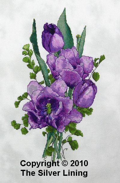 Lavender tulips